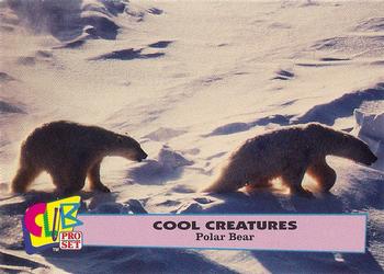 1992 Club Pro Set Cool Creatures #6 Polar Bear Front