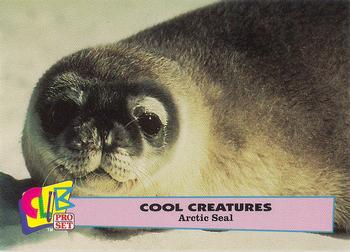 1992 Club Pro Set Cool Creatures #8 Arctic Seal Front