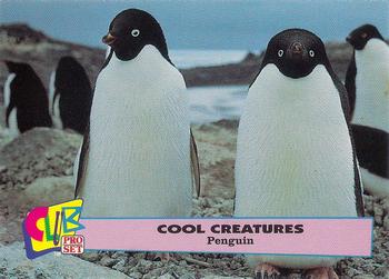 1992 Club Pro Set Cool Creatures - Silver #2 Penguin Front