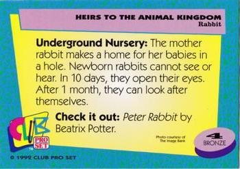 1992 Club Pro Set Heirs to the Animal Kingdom #4 Rabbit Back
