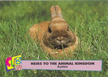 1992 Club Pro Set Heirs to the Animal Kingdom #4 Rabbit Front