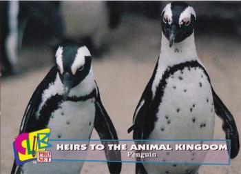1992 Club Pro Set Heirs to the Animal Kingdom #15 Penguin Front