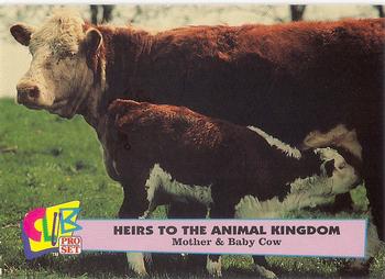 1992 Club Pro Set Heirs to the Animal Kingdom - Gold #9 Mother & Baby Cow Front