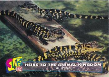 1992 Club Pro Set Heirs to the Animal Kingdom - Gold #10 Alligator Front