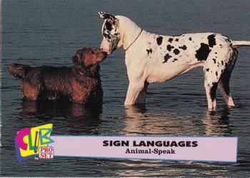1992 Club Pro Set Sign Languages #6 Animal Speak Front
