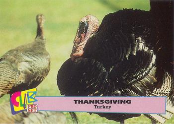1992 Club Pro Set Thanksgiving #3 Turkey Front