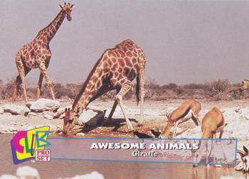 1993 Club Pro Set Awesome Animals #2 Giraffe Front