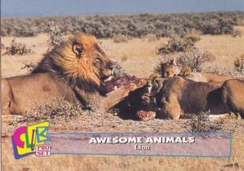 1993 Club Pro Set Awesome Animals #4 Lion Front