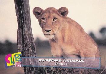1993 Club Pro Set Awesome Animals #5 Lioness Front