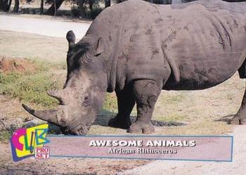 1993 Club Pro Set Awesome Animals #6 Rhinoceros Front