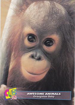 1993 Club Pro Set Awesome Animals #9 Orangutan Baby Front