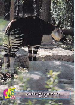 1993 Club Pro Set Awesome Animals #13 Okapi Front