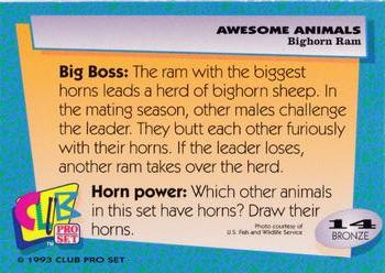 1993 Club Pro Set Awesome Animals #14 Longhorn Ram Back