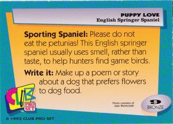 1993 Club Pro Set Puppy Love #9 English Springer Spaniel Back