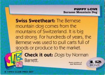 1993 Club Pro Set Puppy Love #12 Bernese Mountain Dog Back