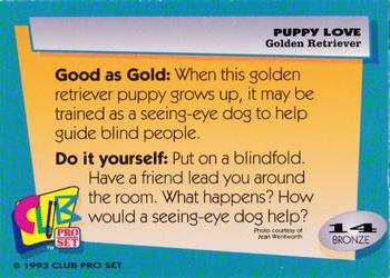 1993 Club Pro Set Puppy Love #14 Golden Retriever Back