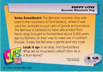 1993 Club Pro Set Puppy Love - Silver #12 Bernese Mountain Dog Back