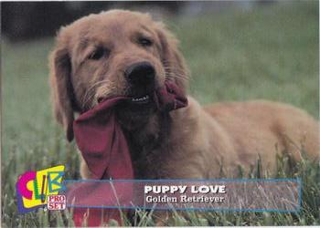 1993 Club Pro Set Puppy Love - Silver #14 Golden Retriever Front