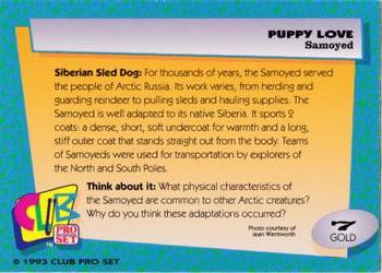 1993 Club Pro Set Puppy Love - Gold #7 Samoyed Back
