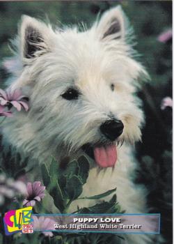 1993 Club Pro Set Puppy Love - Gold #15 West Highland White Terrier Front