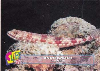 1993 Club Pro Set Underwater #1 Lizardfish Front