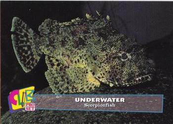 1993 Club Pro Set Underwater #3 Scorpionfish Front