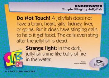 1993 Club Pro Set Underwater #5 Purple Stinging Jellyfish Back
