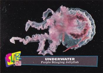 1993 Club Pro Set Underwater #5 Purple Stinging Jellyfish Front