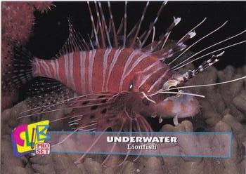 1993 Club Pro Set Underwater #8 Lionfish Front
