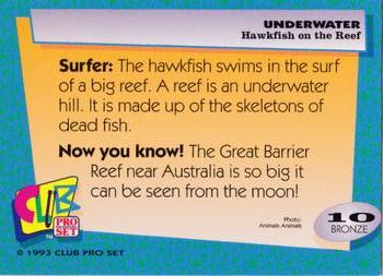 1993 Club Pro Set Underwater #10 Hawkfish on the Reef Back
