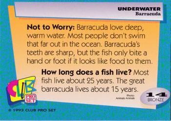 1993 Club Pro Set Underwater #14 Barracuda Back