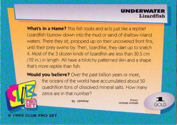 1993 Club Pro Set Underwater - Gold #1 Lizardfish Back