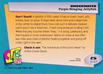 1993 Club Pro Set Underwater - Gold #5 Purple Stinging Jellyfish Back