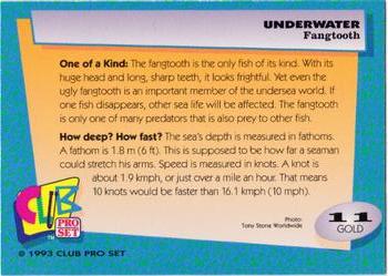 1993 Club Pro Set Underwater - Gold #11 Fangtooth Back