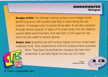 1993 Club Pro Set Underwater - Gold #13 Octopus Back