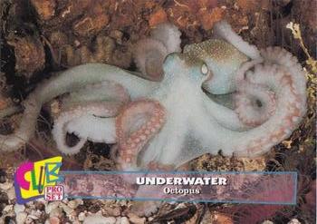 1993 Club Pro Set Underwater - Gold #13 Octopus Front