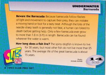 1993 Club Pro Set Underwater - Gold #14 Barracuda Back