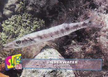 1993 Club Pro Set Underwater - Gold #14 Barracuda Front