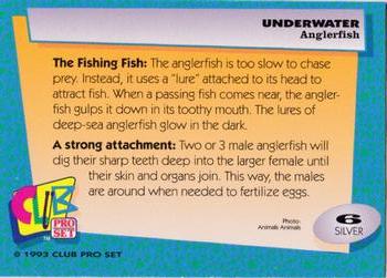 1993 Club Pro Set Underwater - Silver #6 Anglerfish Back