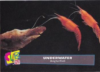 1993 Club Pro Set Underwater - Silver #6 Anglerfish Front