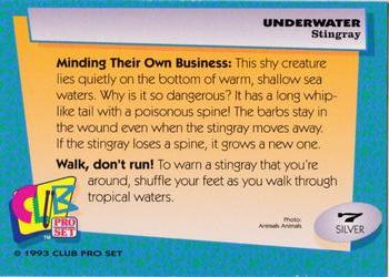 1993 Club Pro Set Underwater - Silver #7 Stingray Back