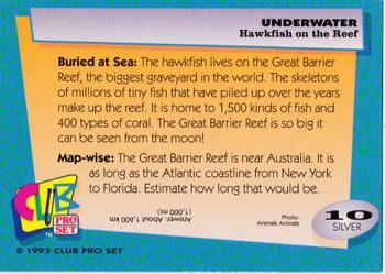 1993 Club Pro Set Underwater - Silver #10 Hawkfish on the Reef Back