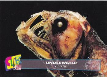 1993 Club Pro Set Underwater - Silver #12 Viperfish Front