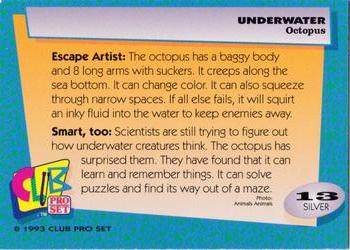 1993 Club Pro Set Underwater - Silver #13 Octopus Back