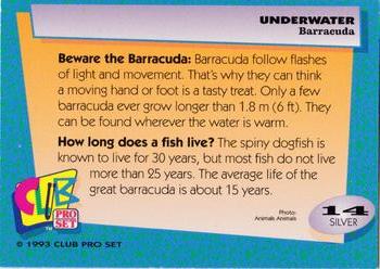 1993 Club Pro Set Underwater - Silver #14 Barracuda Back