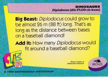 1992 Smithsonian Institute Dinosaurs #4 Diplodocus Back