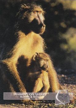 1993 Boomerang Book Club Animals on Safari #3 Baboon & Baby Front