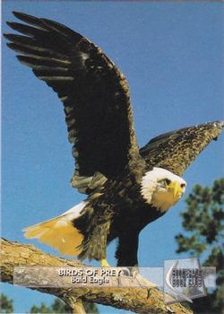 1993 Boomerang Book Club Birds of Prey #1 Bald Eagle Front