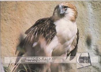 1993 Boomerang Book Club Birds of Prey #3 Monkey-eating Eagle Front