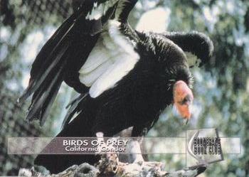 1993 Boomerang Book Club Birds of Prey #4 California Condor Front